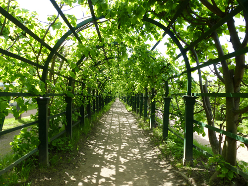 St. Petersburg Lower Gardens Trip Reservations