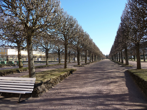 St. Petersburg  Russia Canals Excursion Booking