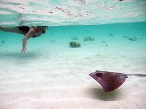 Grand Turk Amazing Wall Snorkeling Excursion