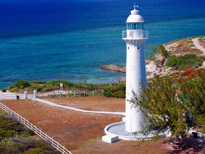 Grand Turk Highlights, Shallow Reef and Island Wall Snorkel Excursion