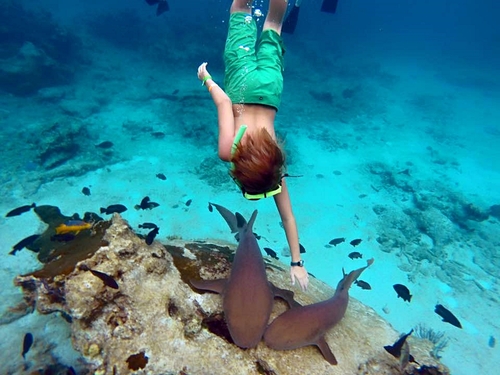 Grand Turk  Turks and Caicos boat Tour Cost