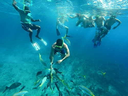 Grand Turk wall snorkel Cruise Excursion Cost