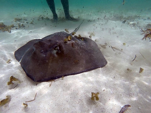 Grand Turk  Turks and Caicos boat Cruise Excursion Reviews
