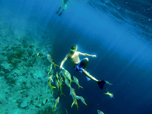 Grand Turk nurse sharks Cruise Excursion Cost