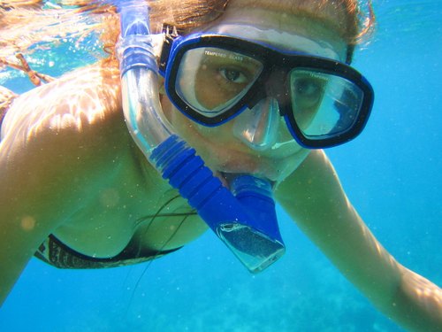 Cayman Island captains choice snorkel Trip Reservations