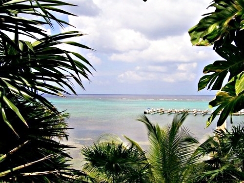 Roatan mangrove cruise Trip Prices