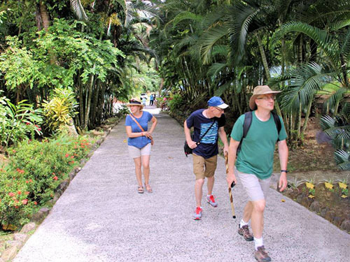 St. Lucia (Castries)  aerial tram Tour Tickets