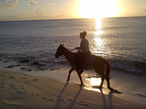 Turks and Caicos beach horseback Shore Excursion Cost