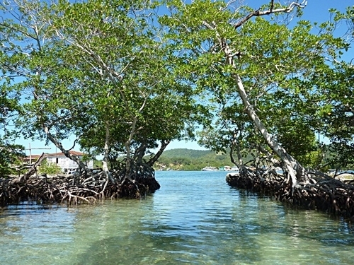 Roatan Honduras eco nature Trip Booking