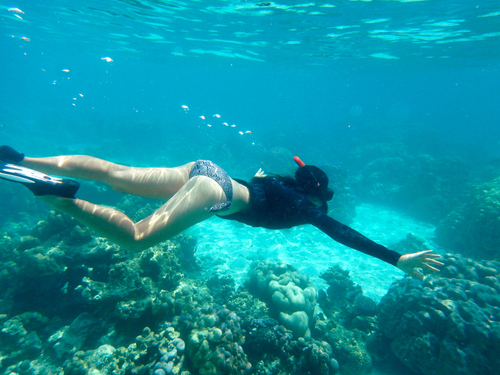 Mazatlan kayaking Tour Booking