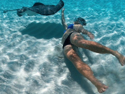Grand Cayman  Cayman Islands turtle tank Trip Booking