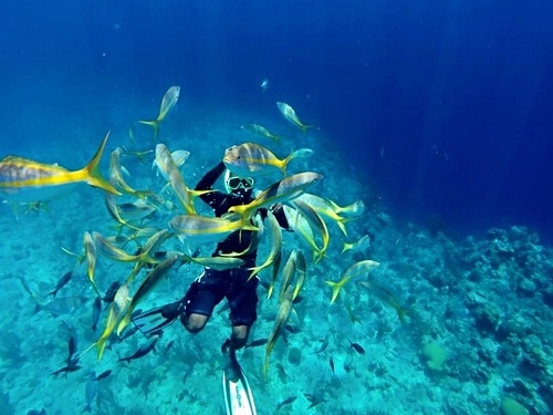 Grand Turk shallow coral reef Shore Excursion Reviews