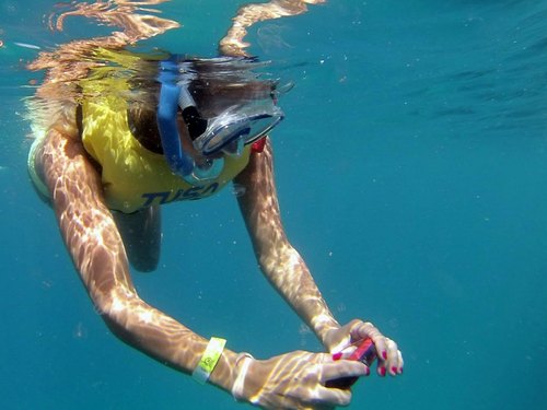 Barbados snorkel with turtles Shore Excursion