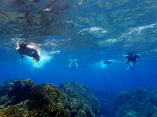 Roatan  Honduras Cordelia Banks Snorkel Trip Tickets