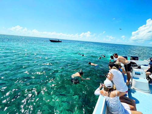 Belize Shark Ray Alley Cruise Excursion