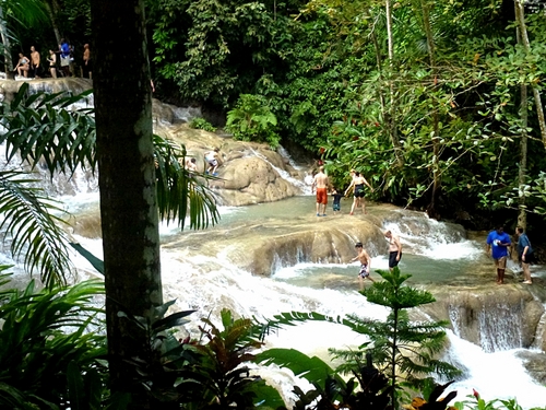 Ocho Rios Jamaica zipline and falls Cruise Excursion Prices