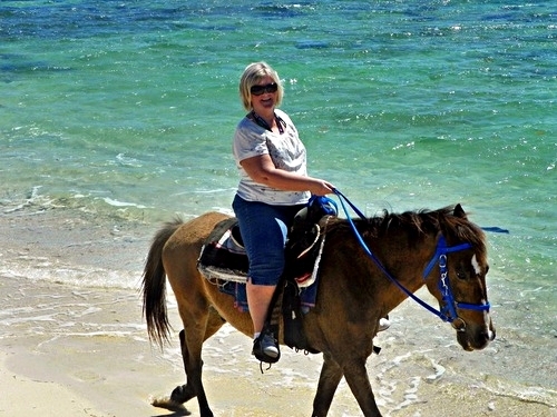 Turks and Caicos swim with horse Tour Prices