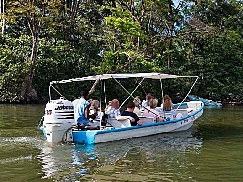 Puerto Limon tortuguera river cruise Shore Excursion Booking