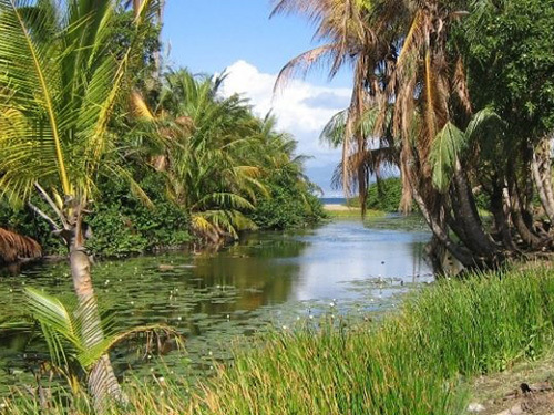 StBasseterre snorkel Excursion Tickets