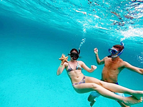 Grand Turk wall snorkel Trip Prices