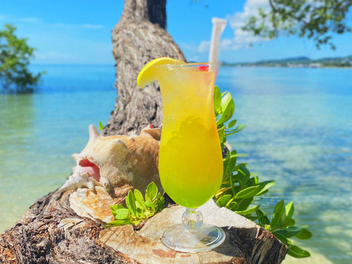 Roatan  Honduras downtown Trip Cost