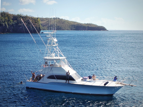 St. Lucia (Castries)  Anse Livrogne Excursion Reviews