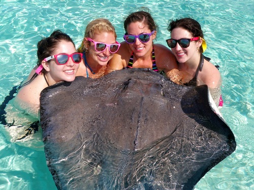 Cayman Island stingray city and reef snorkel Excursion Reviews