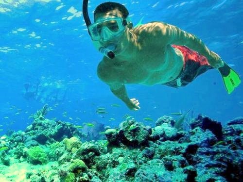 Key West Fury snorkel Excursion Prices