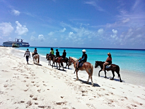 Grand Turk beach horseback Tour Reviews