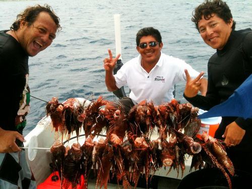 Costa Maya  Mexico (Mahahual) spearfishing Excursion