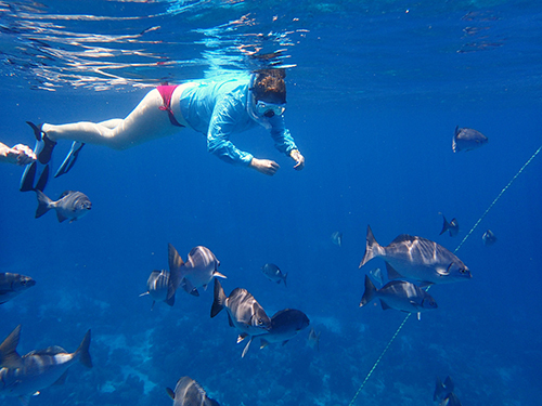 Roatan  Honduras Family Snorkel Excursion Cost