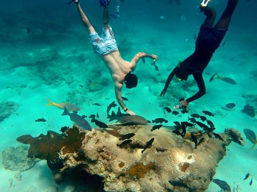 Turks and Caicos wall snorkel Cruise Excursion Cost