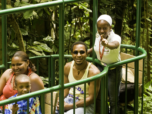 St. Lucia (Castries) rainforest Cruise Excursion Reviews