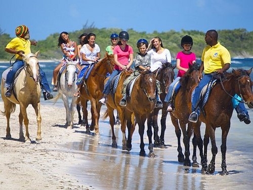 Montego Bay  Jamaica ocean swim with horses Reviews