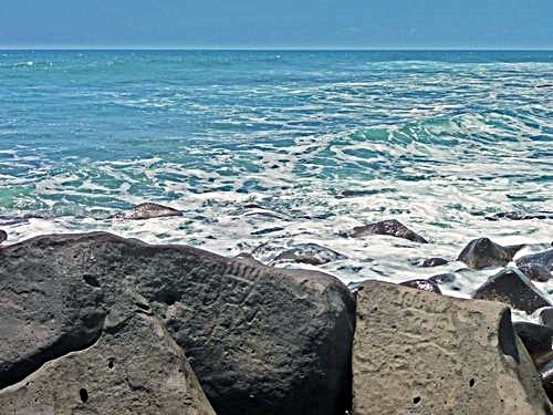 Mazatlan  Mexico tortuguitas Shore Excursion Prices