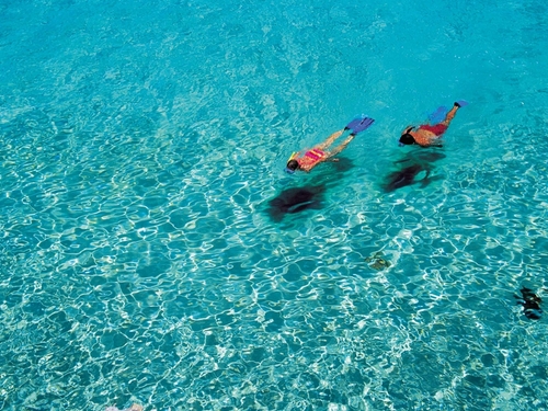 Freeport Bahamas parasail excursion Shore Excursion Reviews