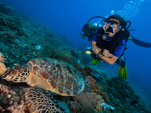 Harvest Caye Discover Scuba Diving Excursion from Shore - Harvest Caye ...