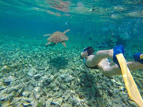 Harvest Caye Belize Eco Friendly Snorkel Tour Reviews