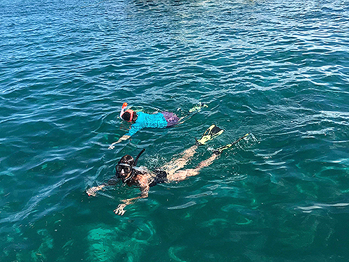 Harvest Caye Barrier Reef Snorkel Tour Cost