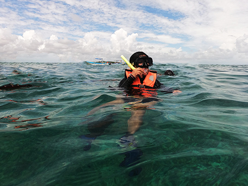 Harvest Caye Belize Barrier Reef Snorkel Tour Reservations