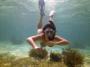 Harvest Caye Laughing Bird Caye National Park Snorkeling Excursion