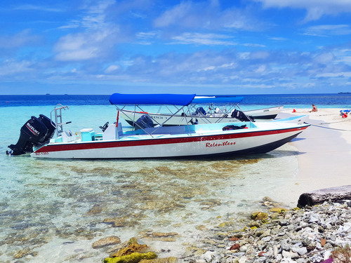 Harvest Caye Private Fishing and Snorkeling Excursion