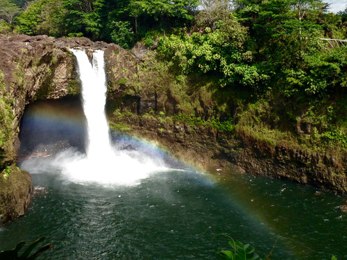 Hilo Hawaii Volcano Park Cruise Excursion Booking