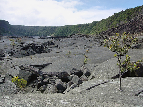 Hilo Hawaii Kilauea Iki Sightseeing Tour Reservations