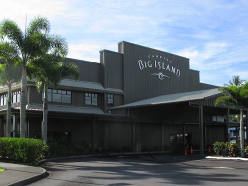 Hilo Hawaii National Park Cruise Excursion Prices