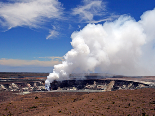 Hilo Hawaii Coffee Sightseeing Excursion Reservations