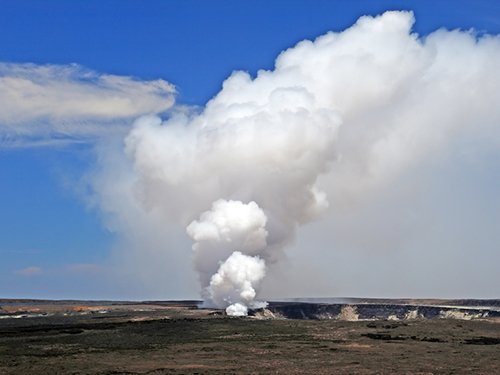 Hilo Hawaii Coffee Sightseeing Excursion Cost