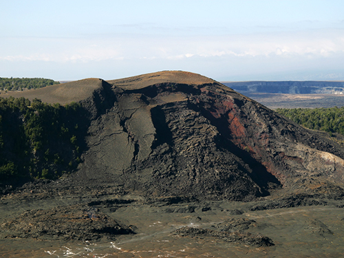 Hilo Coffee Shore Excursion Prices