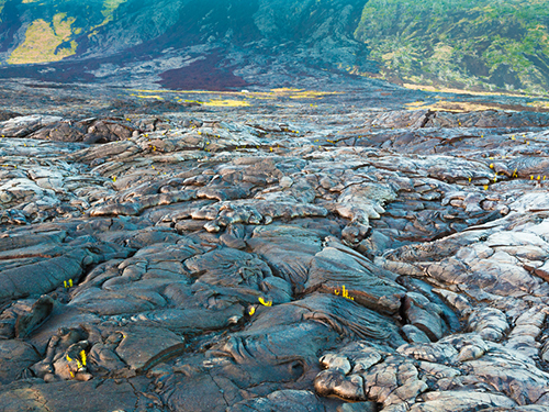 Hilo Kilauea Iki Sightseeing Trip Tickets