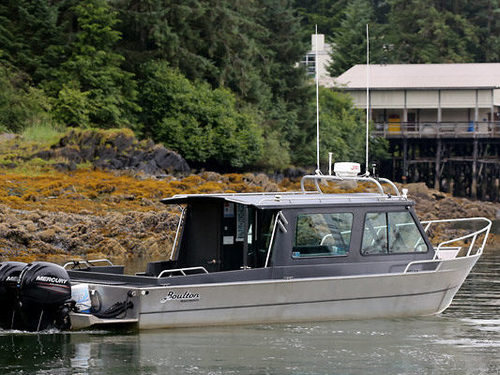 Icy Strait (Hoonah) brown Cruise Excursion Reviews